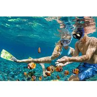Bali Nusa Penida Snorkeling Tour West