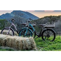 E-bike Tour in Cilento with Picnic and Wine