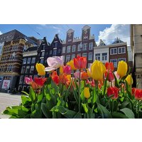 Amsterdam Self Guided Walking Route of Highlights and Hidden Gems