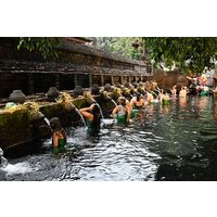 Ubud Day Tour