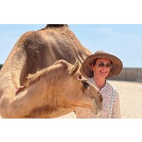 Bahrain in a Day: From City Lights to Desert Landscapes 4-5 HRS