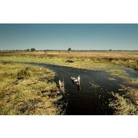 Camping Safari with Mokoro Rides and Game Drives