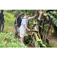 3 Days Chaga Culture: Cooking, NGO Projects, Banana Beer, Hiking