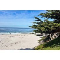 3-Day Private Pacific Tour to Big Sur, Hearst Castle, and More
