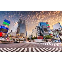 Afternoon Small Group Tour in Tokyo