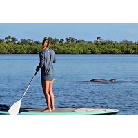 Paddle With Native Wildlife