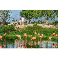VinWonders Nha Trang Ticket: Skip The Lines - Save Time