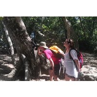Wildlife Observation at Cahuita National Park