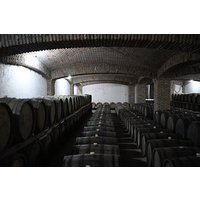 Tbilisi Day Trip to Sighnaghi, Bodbe Monastery and Wine Tasting