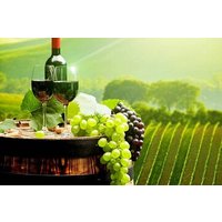 Bordeaux to Saint Émilion Wine Full Day Trip with Tastings
