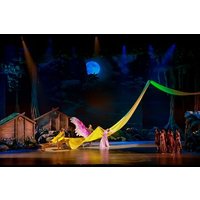 Experience Ao Dai Show Ticket in Da Nang