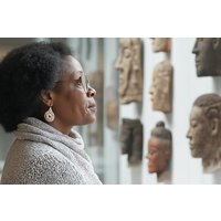 New Orleans Museum of Art Skip the line Private Guided Tour