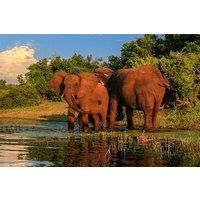 Half Day Safari Durban Tala Game Reserve and Natal Park