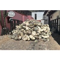 Full-Day Tour to La Fortaleza Distillery and Cantaritos