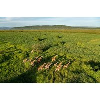 2 Days Big 5 Safari to Akagera NP Discover Rwandas Wild Heart