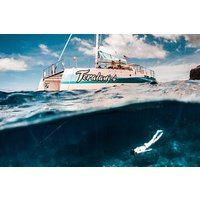 Maui: Kaanapali Beach 5-hour Snorkel w/ BBQ Lunch & Open Bar