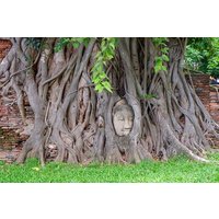 Private Ayutthaya Ancient Temple and Floating Market Day Tour