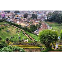 Coimbatore to Ooty Day Trip - Explore A Perfect Hill Station