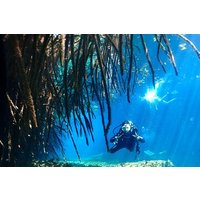 Discover Scuba Diving at Casa Cenote No Certification Needed