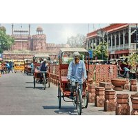 Old and New Delhi Tour Plus Rickshaw Ride