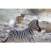 4 Days Mixed Safari to Tarangire, Serengeti & Ngorongoro Crater