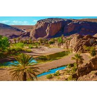 Marrakech: 2 days private Oasis of Fint via Aït Ben Haddou