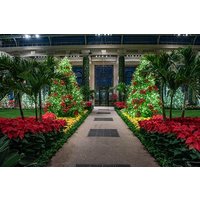 Longwood Gardens from Philadelphia Holiday Lights Tour