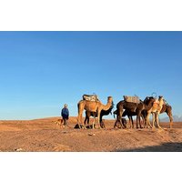 Private Agafay Desert Trip with Camel ride Tour.