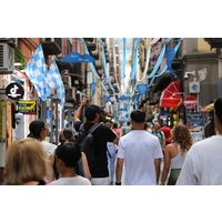Private Naples City Tour from Sorrento with Guided Walk