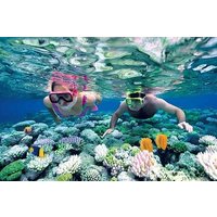 Nusa Penida Snorkeling Adventure