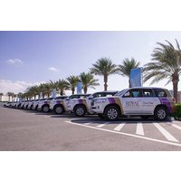 Evening Desert Safari with BBQ Dinner in Dubai