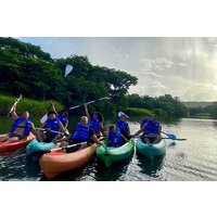 Rainforest Kayak Tour