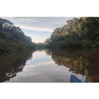 3-Day Amazon Rainforest Tour from Iquitos