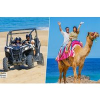 Cabo UTV and Camel Ride Combo