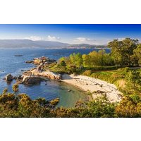 Wine Tasting and Scenic Islands In Rias Baixas