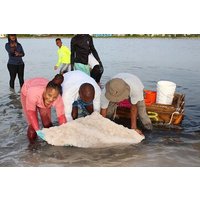 Cultural Salt Picking Experience in Anguilla