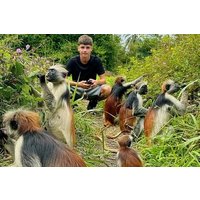 Zanzibar Day Trip, Jozani forest, Spice Tour and stone Town tour