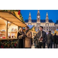 Private Vienna Christmas Markets Tour from Prague by Mike
