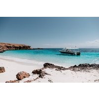 Al Mouj: Daymaniyat Island Natural Reserve Snorkeling