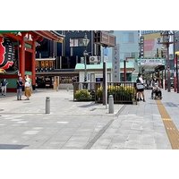 Tokyo and Yokohama Private Tour with Guide
