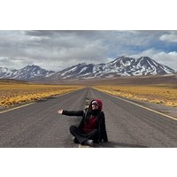 Atacama Desert: Chaxa Lagoon & Altiplanic Lagoons (Full-Day Tour)