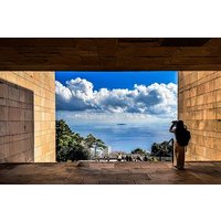 Bullet Train Experience and Atami Museum of Art Private Tour