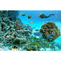 Snorkeling and Relaxation at Giftun Island from Hurghada