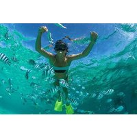 4 Hour Snorkel Anse Cochon and Anse Mamin as well as Sugar Beach