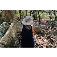 Punta Laguna Tour: Spider Monkey Reserve, cenote, canoe