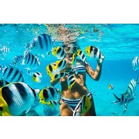 Tiran Island Snorkeling Trip by Boat Full Day