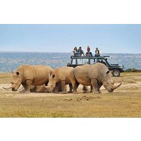 Rwanda's Only Group Safari to Akagera