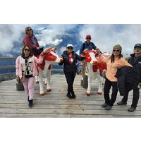 Zurich Day Trip Jungfrau Region with Scenic Train and Hidden Gems