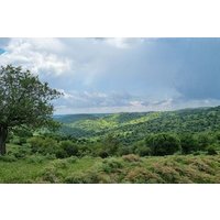 Tolfa : trekking ring of Ferrone