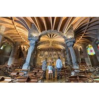 Wines & Wonders: Gaudí Unveiled & Premium Wine Escape